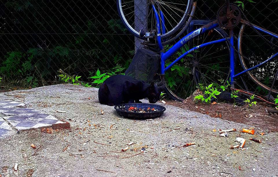 Kifestettük a ceglédi hajléktalanszállót – 1. rész