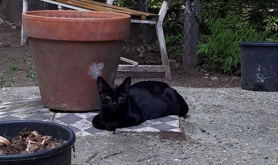 Kifestettük a ceglédi hajléktalanszállót – 3. rész