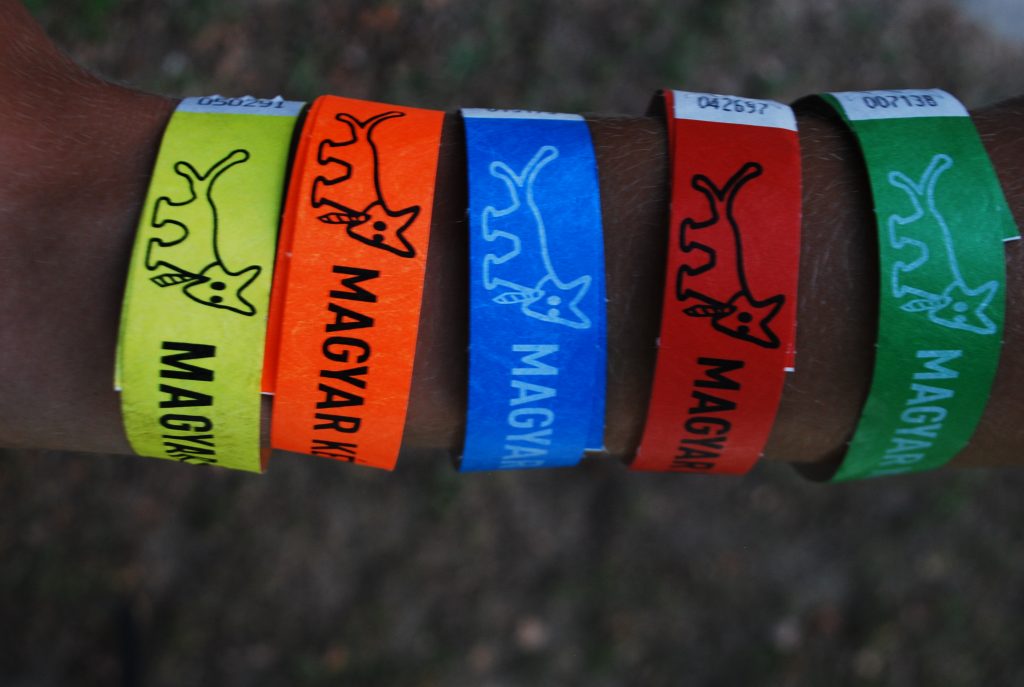 Lakitelek-Tőserdő második meghódítása, avagy táborbeszámoló 2019