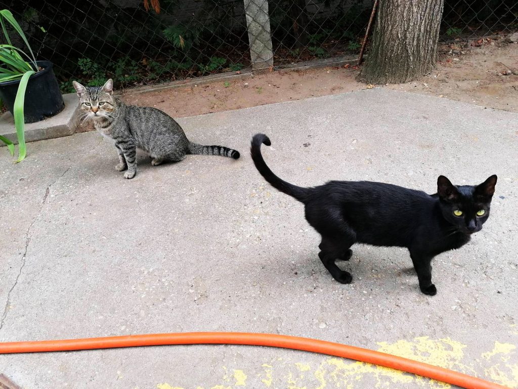 Kész, vége, nem csináljuk tovább
