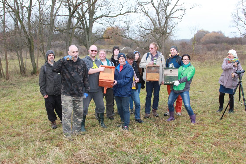 Felszámoltuk a hajléktalanságot a Hosszúvölgyben: új odúkat adtunk át a vércséknek