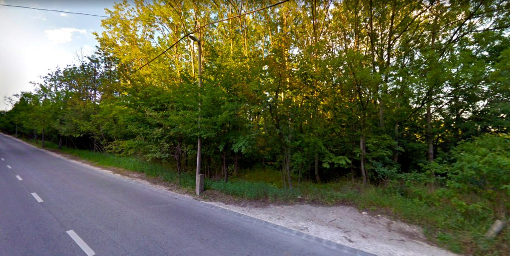 Mi is ez a fakivágás a Normafánál