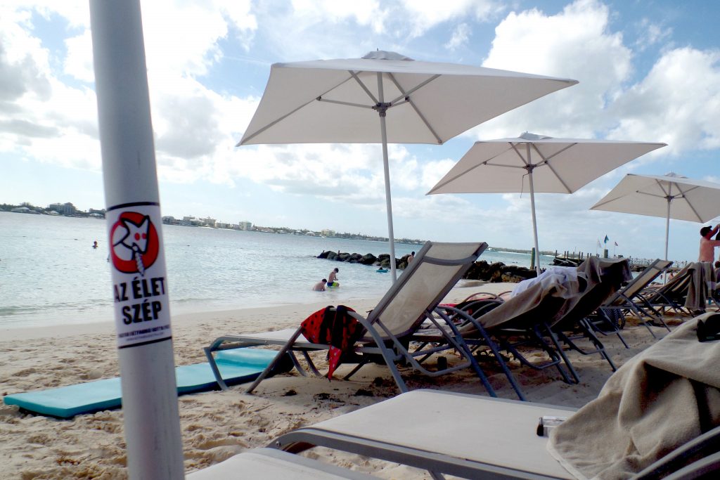 Nyaralóink küldték