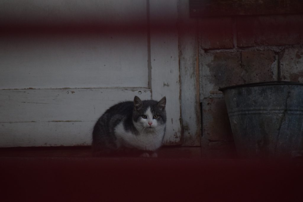 Túra a Mecsekben – Savköpő-perspektívából
