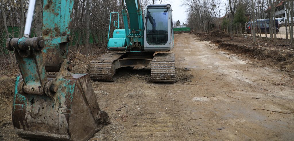 Fakivágások a Normafánál