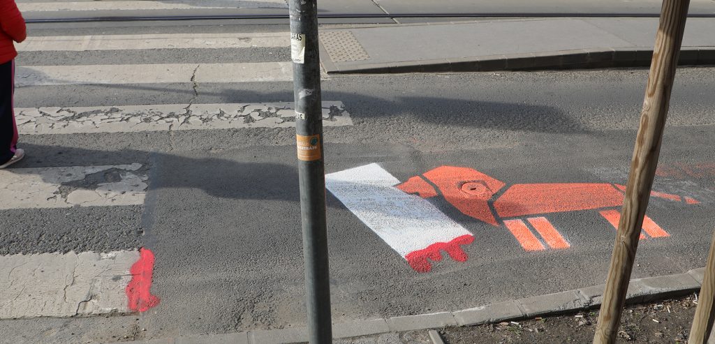 Megette az oroszlán a zebrát a Böszörményi úton