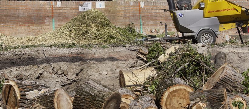 Örökségvédelem irodaházzal – Fakivágások a Csodaszarvas téren
