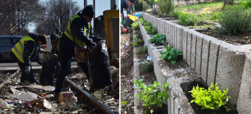 Fűszerkert, közkomposztáló, állatmenhely-támogatás, szemétszedés – Top 10 Zöldkutya akciónk az elmúlt évekből