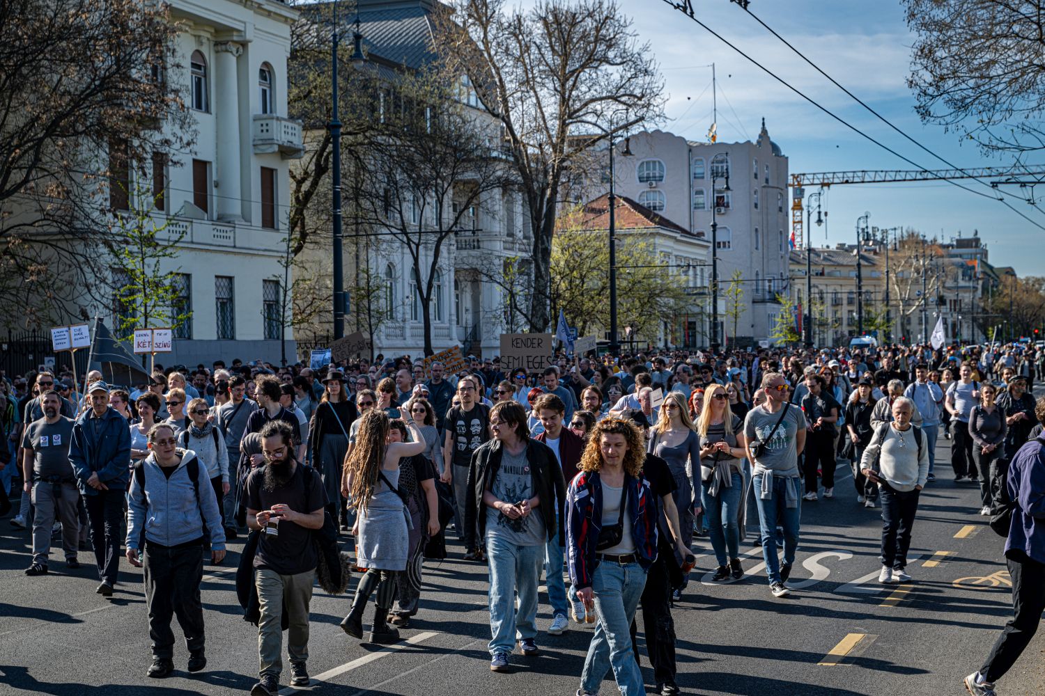 Illiberal Pride - Szürkeség menete - Kétfarkú Kutya Párt
