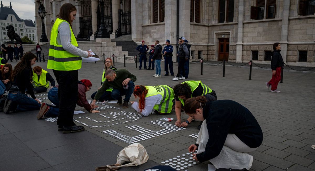 Passzivista leszek - Magyar Kétfarkú Kutya Párt