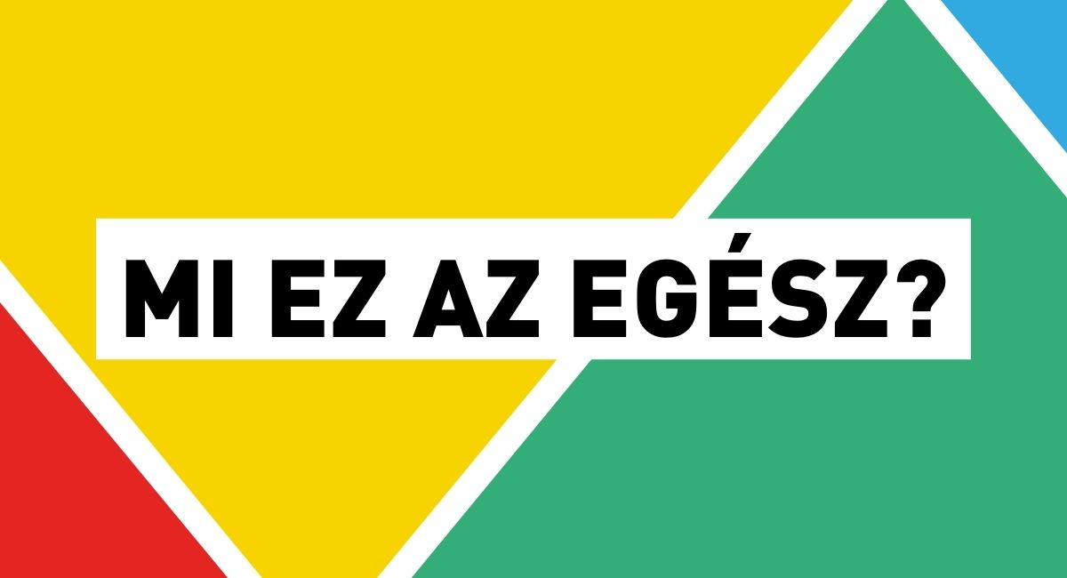 Mi ez az egész? - Magyar Kétfarkú Kutya Párt