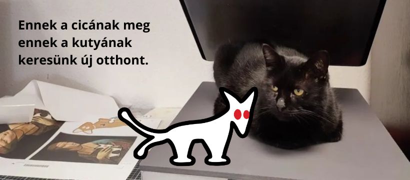 Új helyet keresünk - MKKP