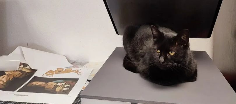 Telephelyet és/vagy raktárat keresünk!